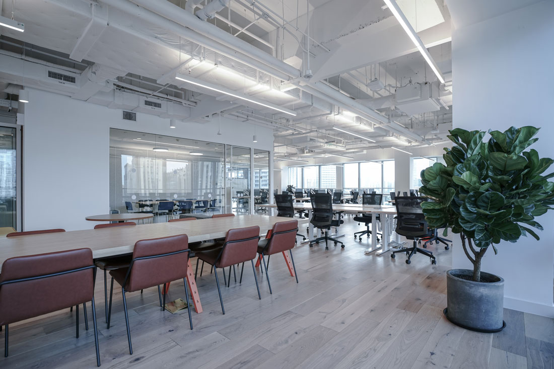 Office Suspended Linear Lighting In White and white Interior