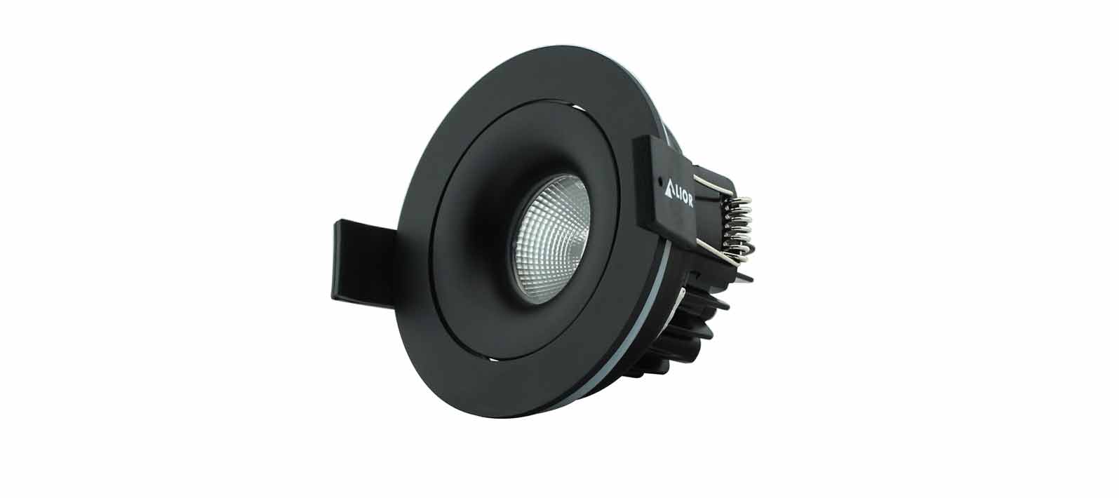 Matt Black Adjustable Downlight IP65 Rated