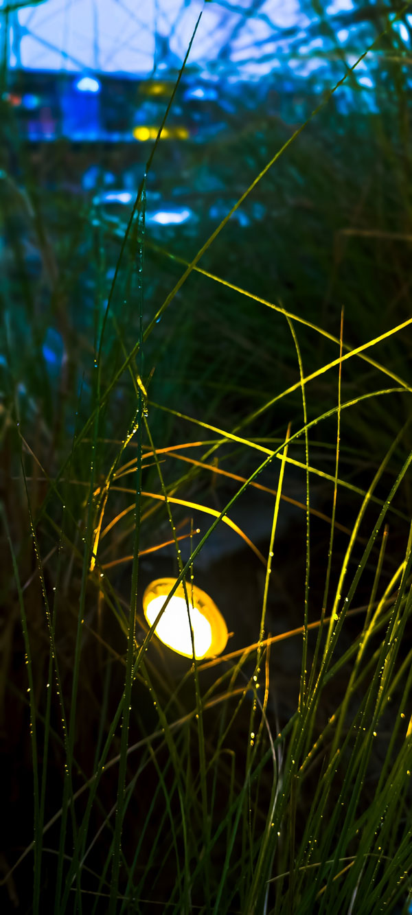 spike light lighting up plants